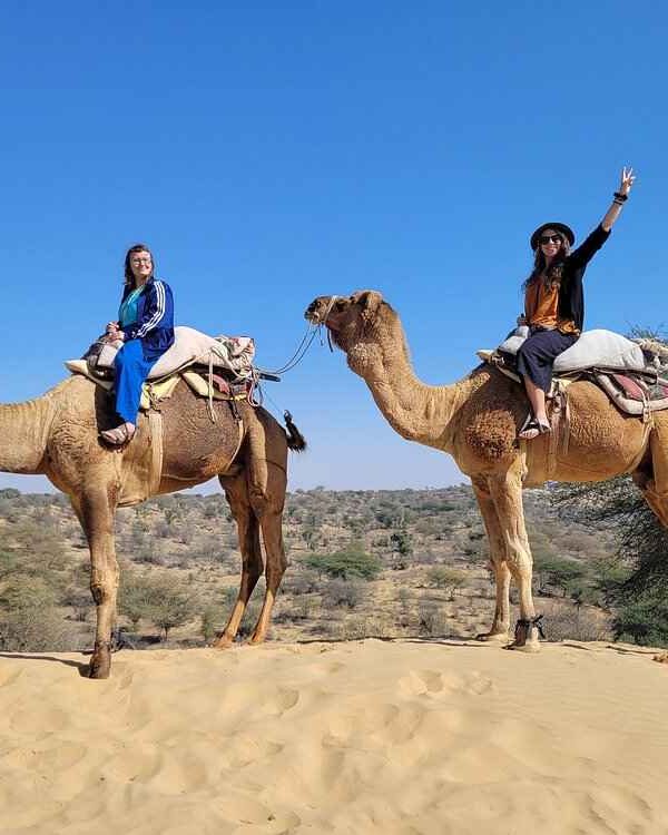 Camel Safari