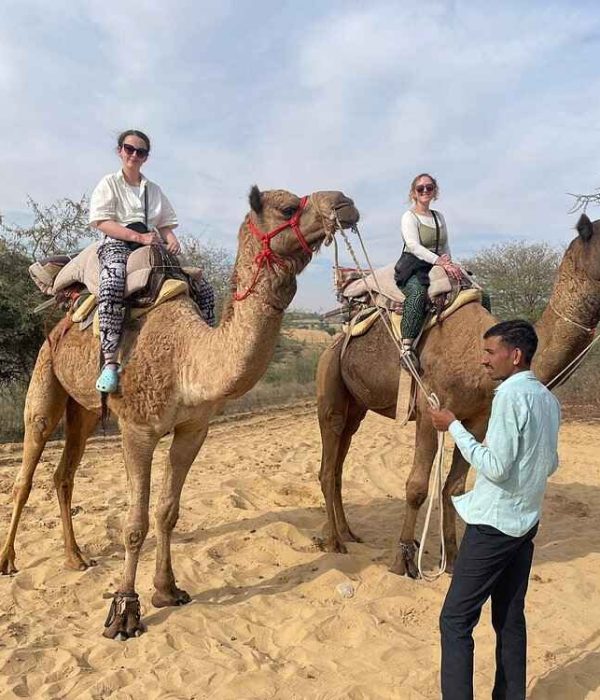 camel safari (3)